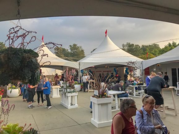 Waiting for the show to start at Bard on the Beach
